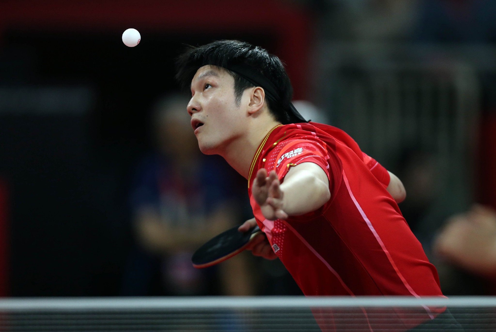 波兰乒乓球队强势中国乒乓球队,樊振东惊艳世界的简单介绍 波兰乒乓球队强势中国乒乓球队,樊振东惊艳世界的简单介绍